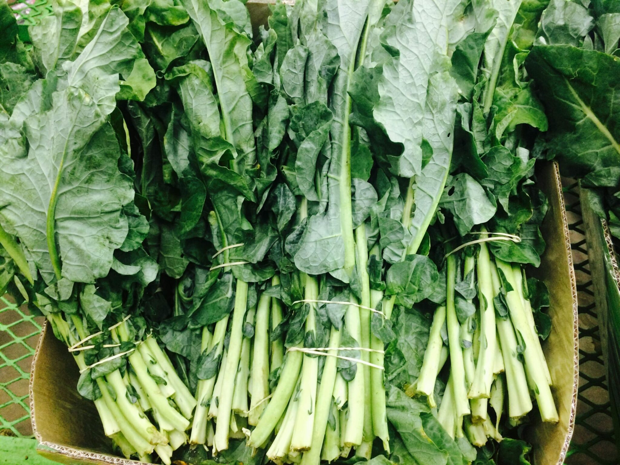 macronutrients - greens for the fibers